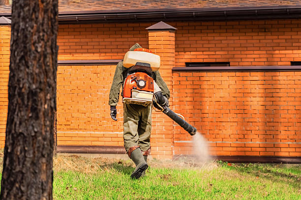 Trusted Ant Control service in Rising Sun-Lebanon, DE - Nex Pest Control